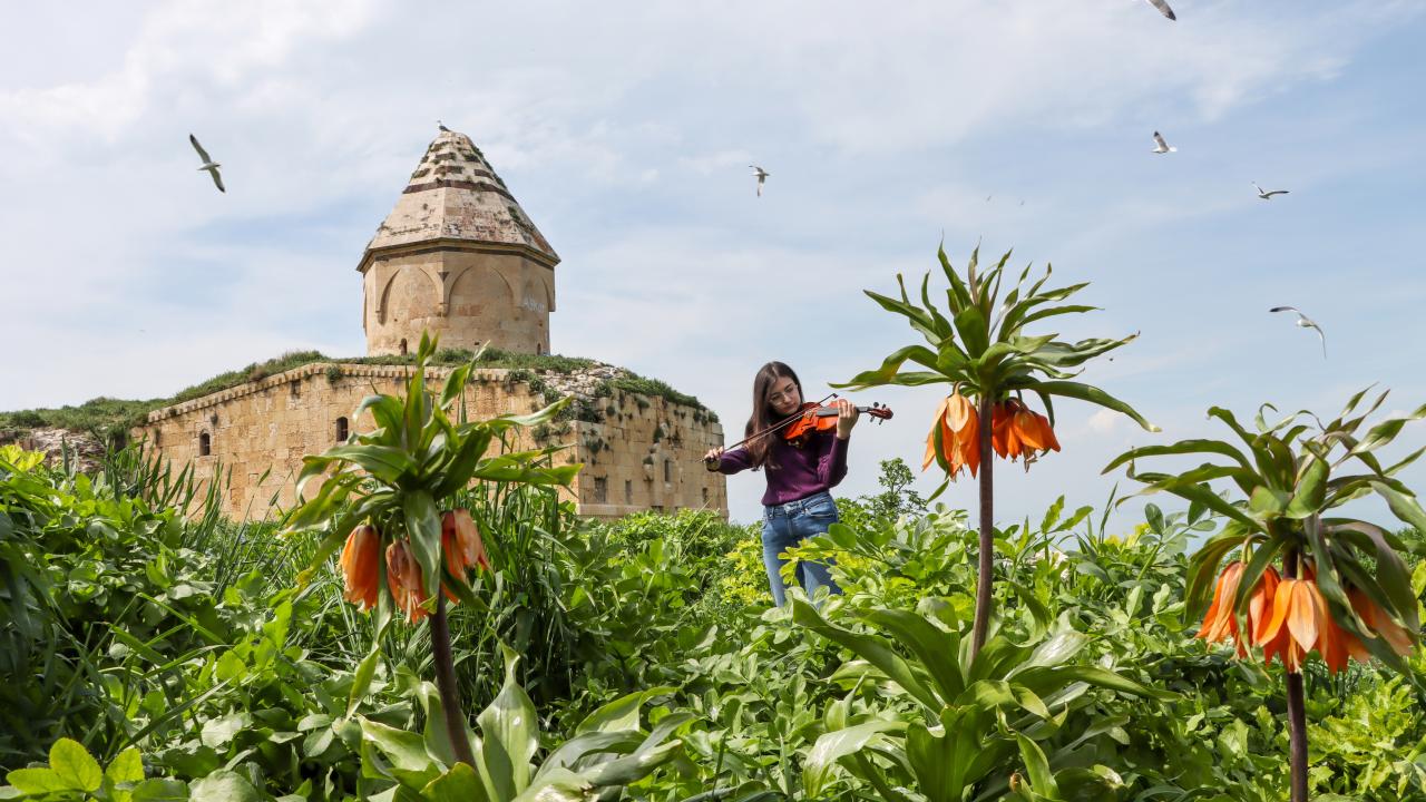 Ters laleler, martılar… İşte ilkbaharda renklenen Çarpanak Adası