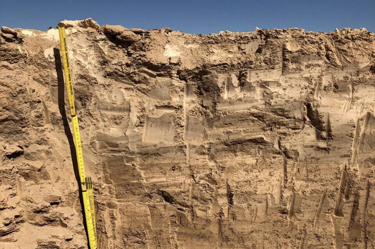 Dünyanın en kuru sıcak çölünün altında gizli biyosfer keşfedildi