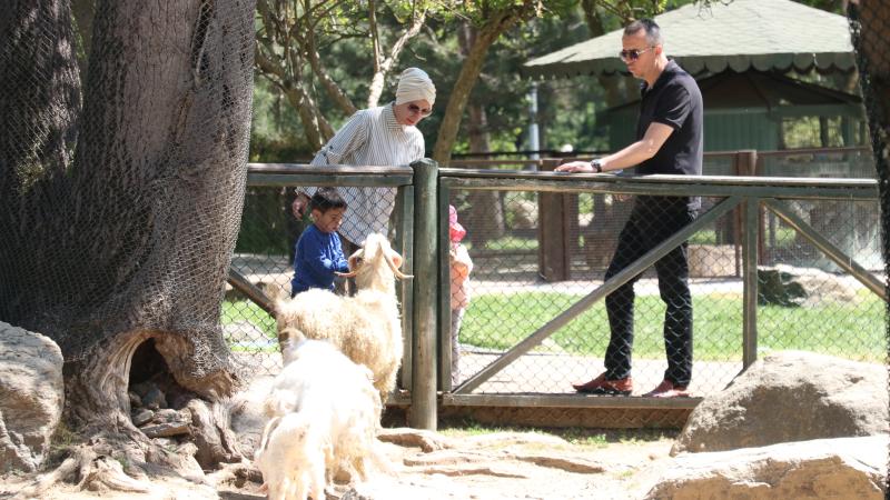 Bursa Hayvanat Bahçesi bayram tatilinde 61 bin 800 ziyaretçi ağırladı