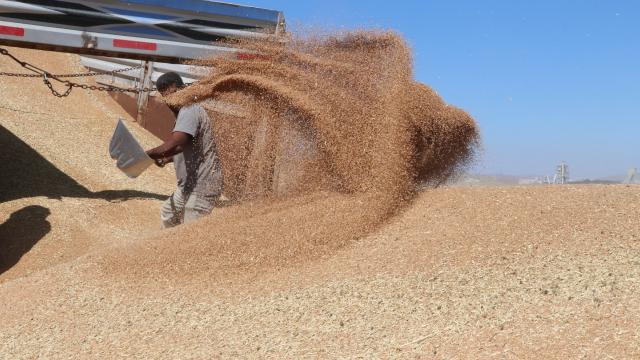 Güneydoğu’nun 3 aylık hububat ihracatı 836,5 milyon dolara ulaştı
