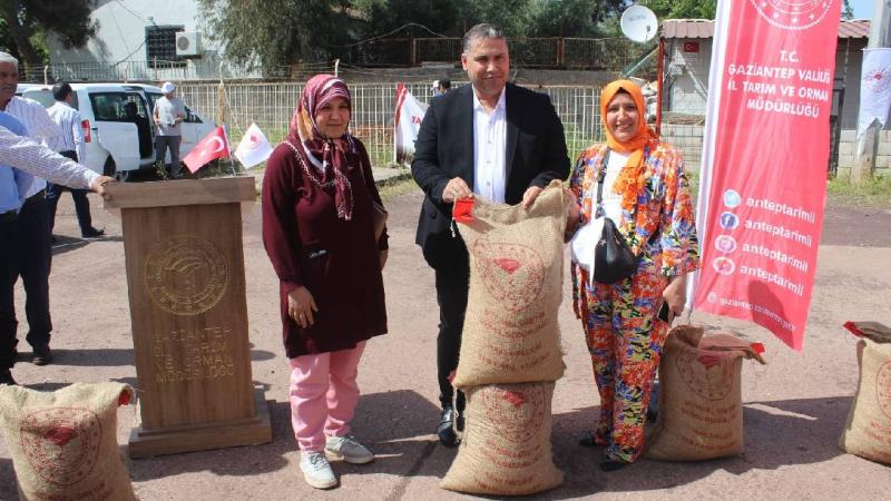 İslahiye’de çiftçilere yer fıstığı tohumu desteği verildi
