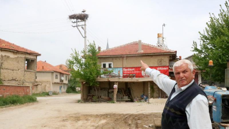 Sandıklı’da leylekler 17 yıldır aynı yere yuva yapıyor