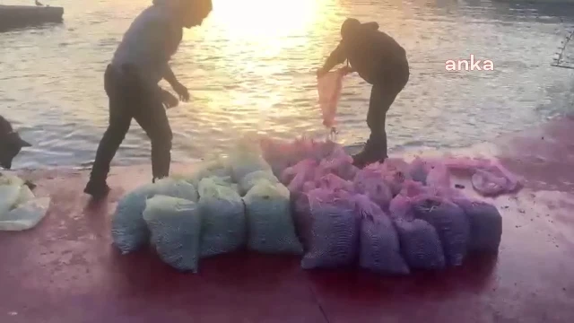 İstanbul’da Kaçak Yollarla Midye Avlayan 2 Kişi Gözaltına Alındı