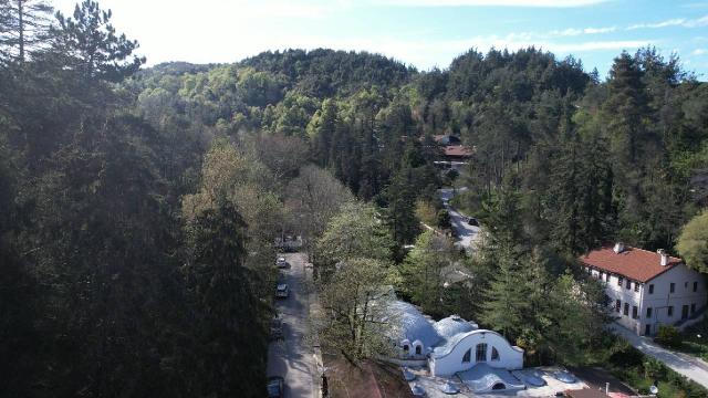 Türkiye’nin ilk ağaç müzesine bahar geldi