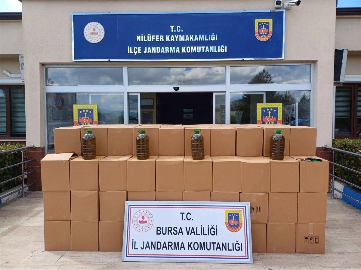 Bursa’da 3 Bin 800 Litre Sahte Zeytinyağı Operasyonu