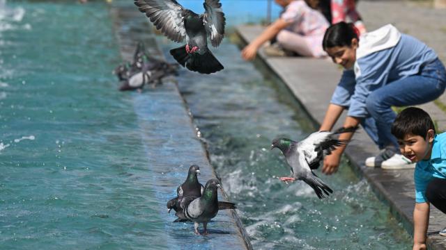 Sıcaklıklar pazartesi gününden itibaren artacak
