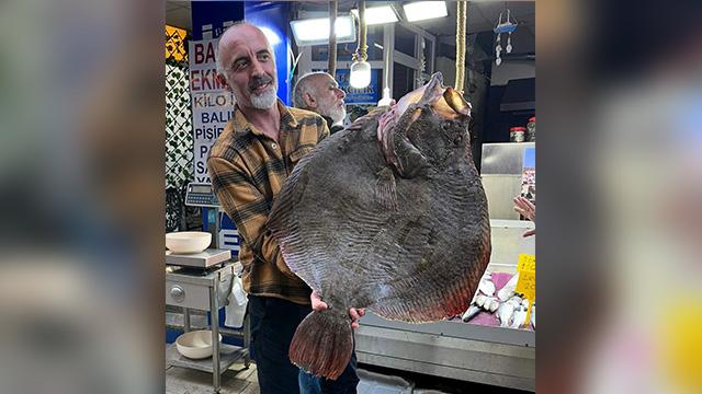 Sinop’ta 12 kilogramlık kalkan balığı yakalandı