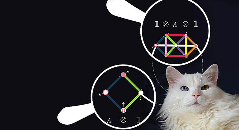 ‘Sonuçta her şeyi tahmin etmekle ilgili’ – teori kuantum malzemeleri arayışında bir harita olabilir