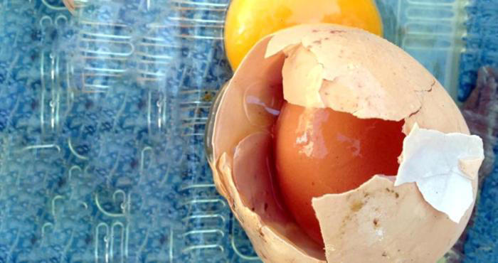 Çöpe atıp ziyan ediyoruz ama cildi mermer yapıyor! 1 gramında milyarlarca protein hücresi var