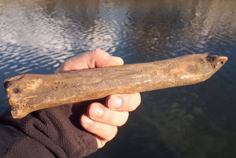 Çek Cumhuriyeti’nde hayvan kemiğinden yapılmış 1.000 yıllık bir buz pateni bulundu.