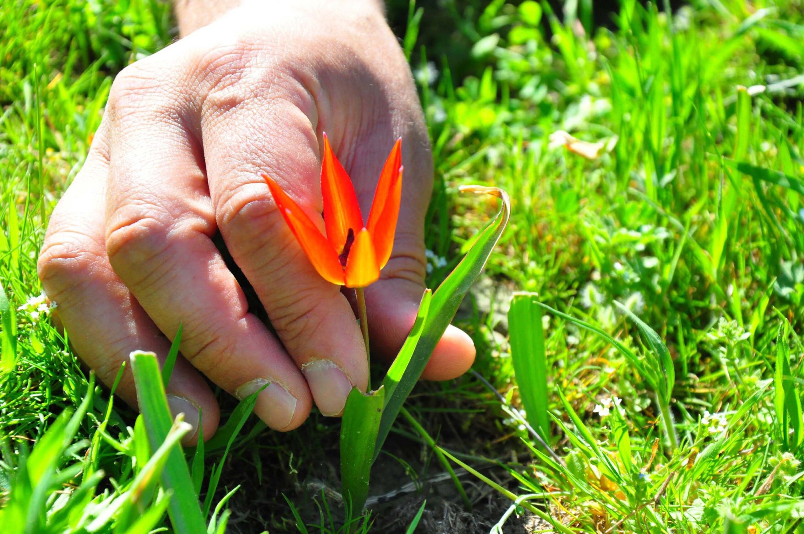 Koparmanın cezası 387 bin 142 lira