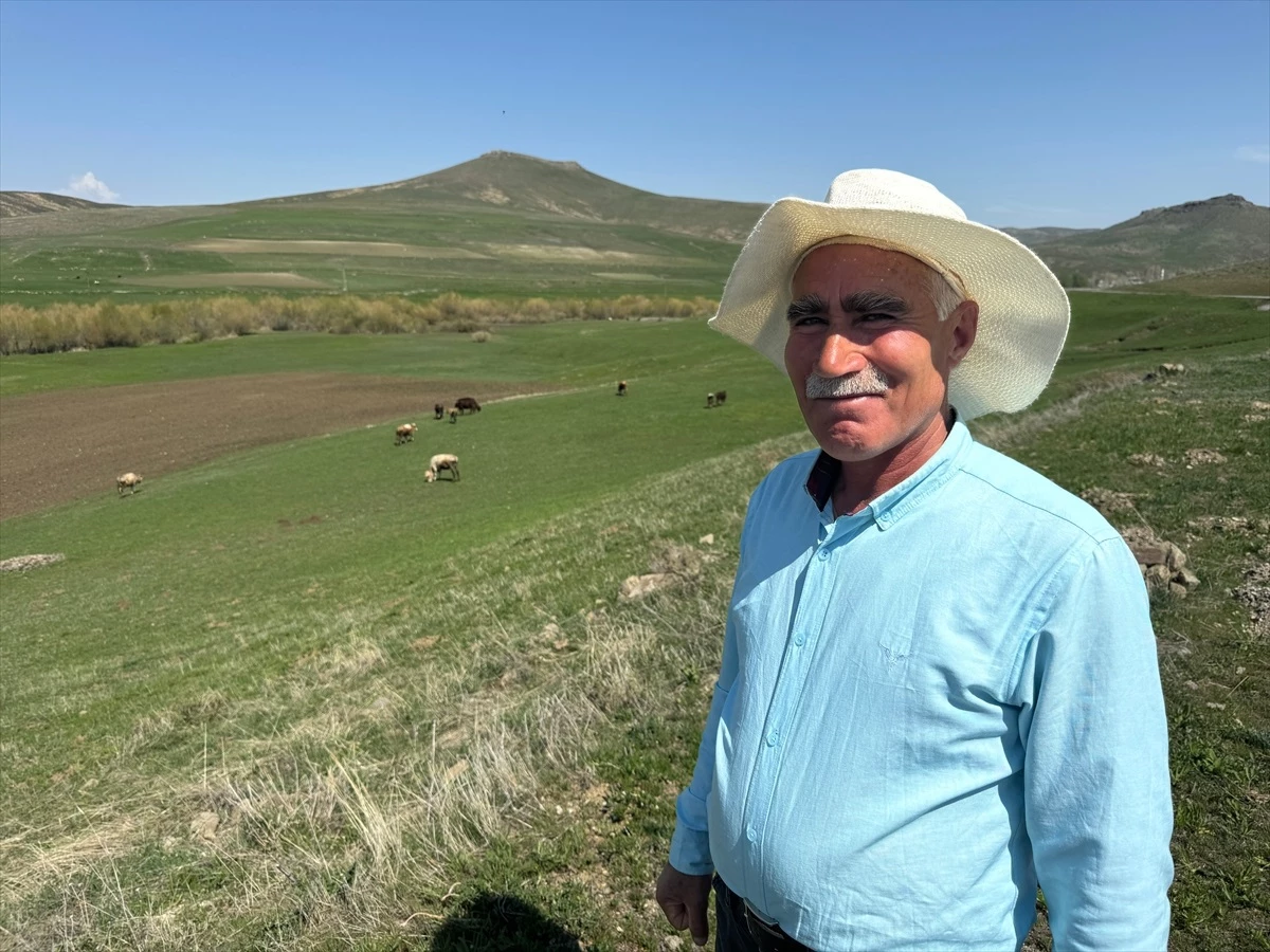 Ağrı’da baharın gelişiyle besiciler hayvanlarını meraya çıkarmaya başladı