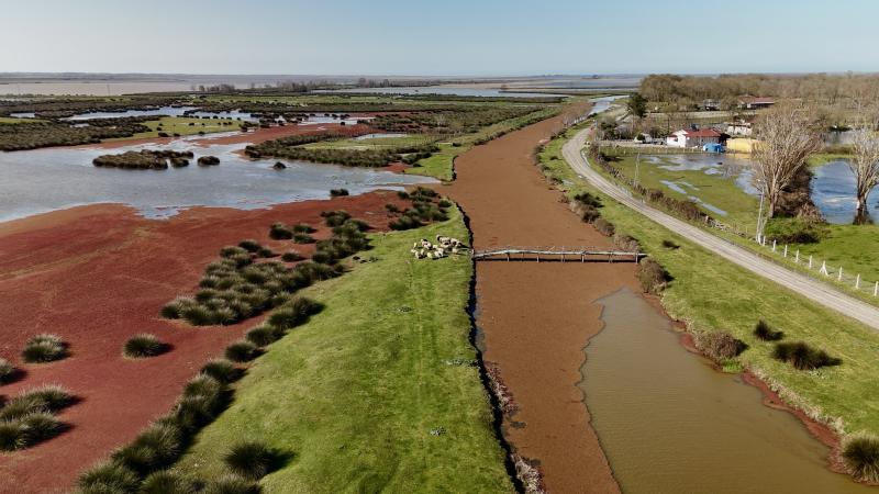 Kızılırmak Deltası kızıla büründü