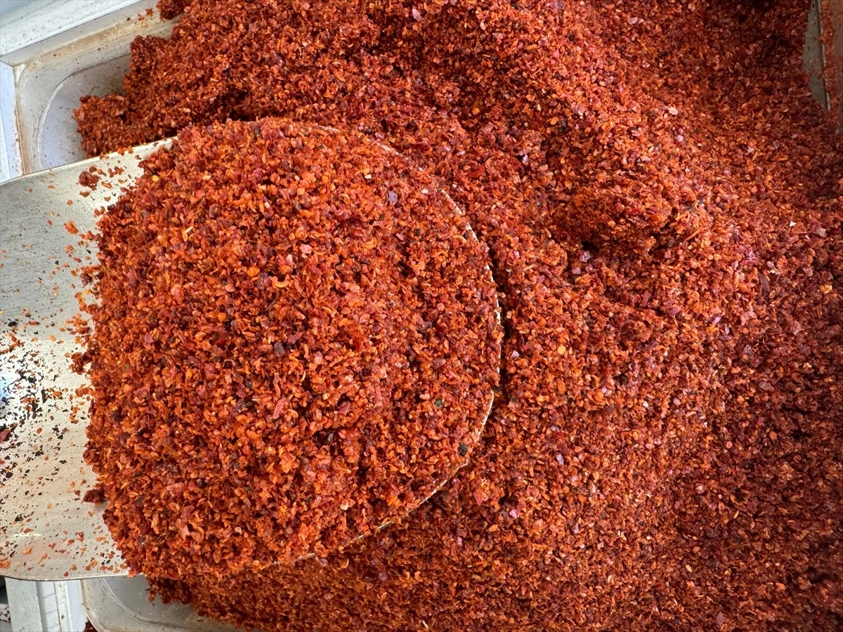 Türkiye, 67 ülkeye 3 milyon 597 bin dolarlık pul biber ihracatı gerçekleştirdi