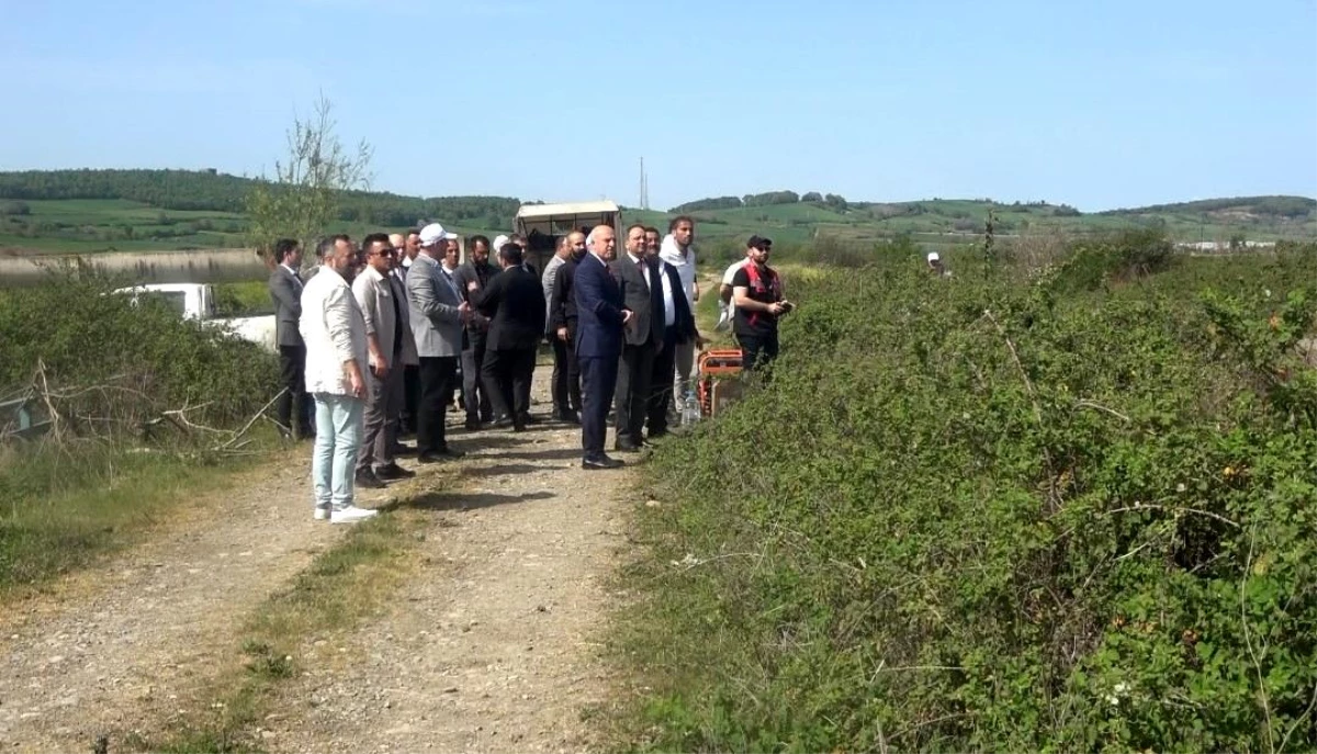 Samsun’da Bafra Ovası’nda Dronlarla Sivrisinek Mücadelesi Başlatıldı
