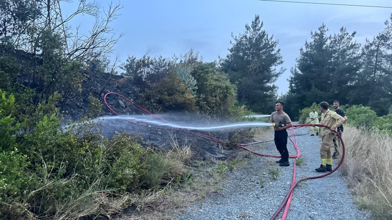 Hatay’ın Dörtyol ilçesinde orman yangını