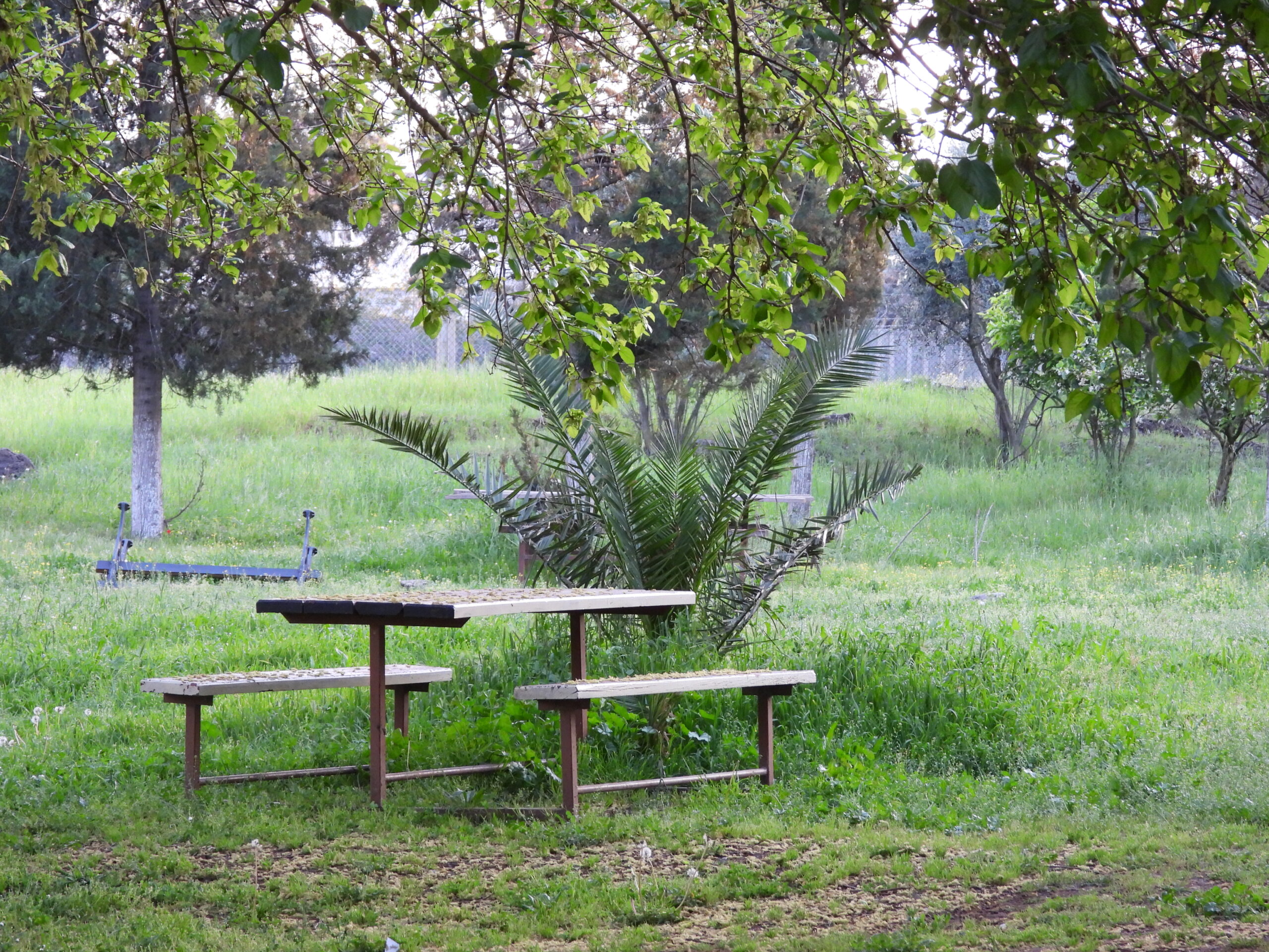 Yeniköy Kuş Cenneti(Özel Haber)