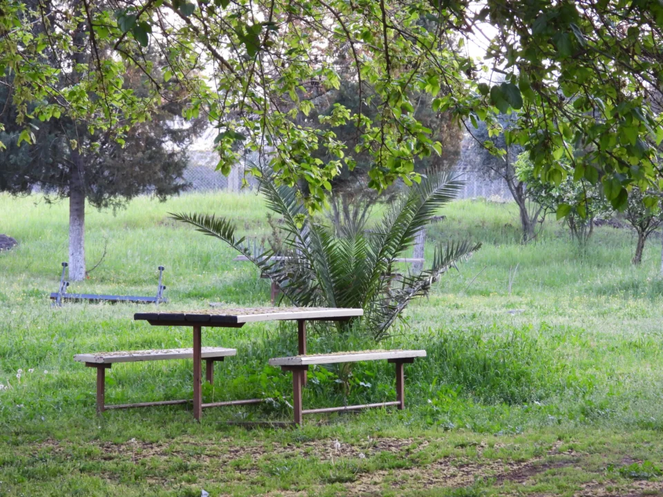 Yeniköy Kuş Cenneti(Özel Haber)