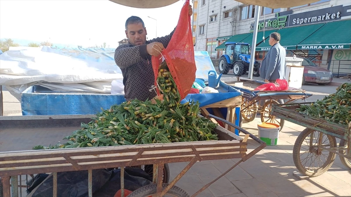Malazgirt’te doğal otlar tezgahlarda satışa sunuluyor