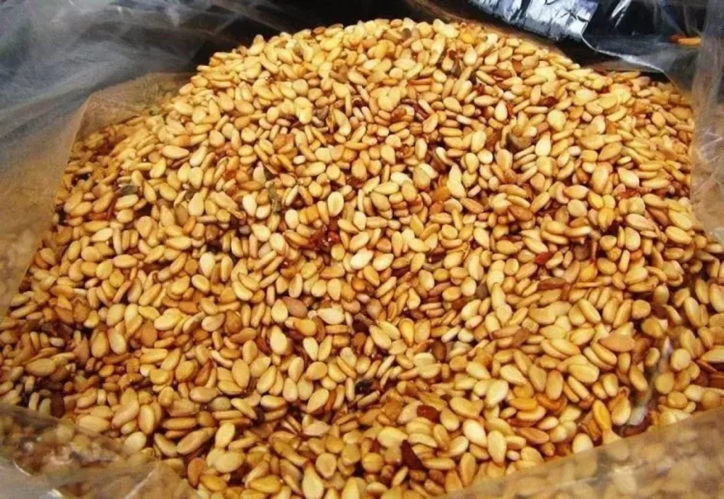 Muğla’nın gözdesi faydalarıyla öne çıkıyor! Japonlar kilo kilo alıyor