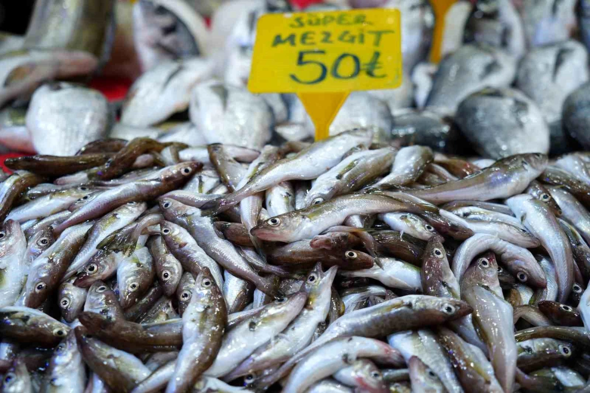 Karadeniz’de Balık Sezonu Bereketli Geçti