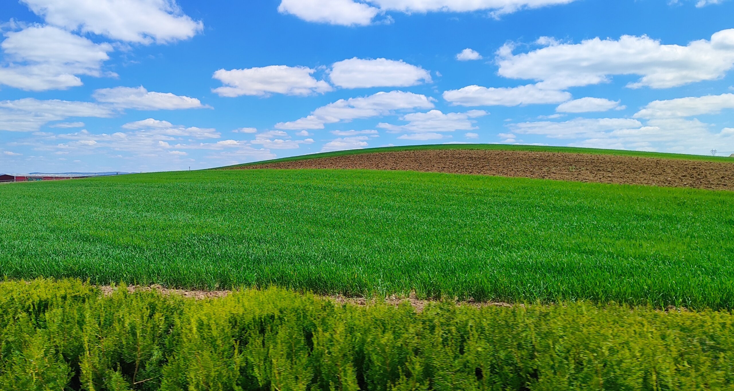 Bahar Yağmurlarıyla Gelen Bereket Ve Temizlik