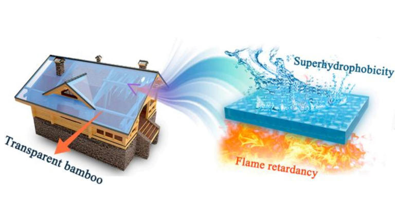 Bilim adamları yanmaz güce sahip şeffaf cam oluşturmak için bambu kullanıyor