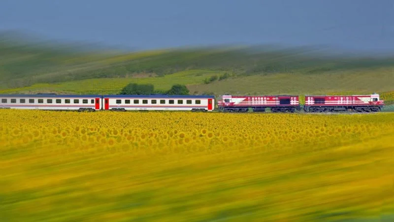 TCDD, otla mücadele kapsamında tren yollarında ilaçlama yapacak