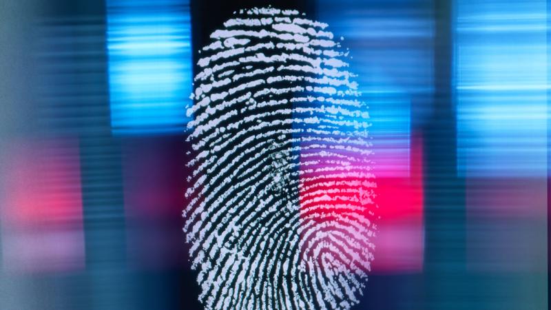 Biyometrik veriler milli yazılıma emanet