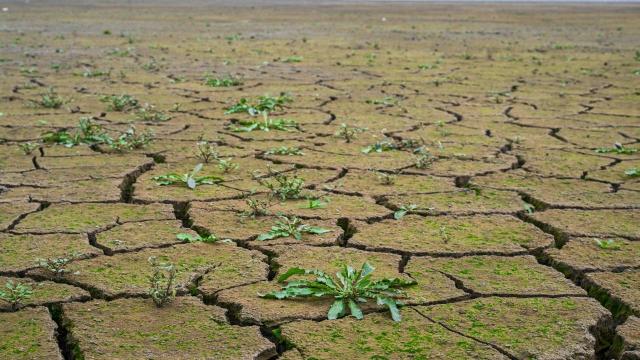 Yağış düzensizliğine neden olan El Nino sel ve kuraklığı tetikliyor