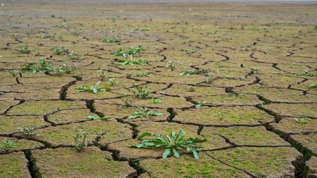 Yağış düzensizliğine neden olan El Nino sel ve kuraklığı tetikliyor