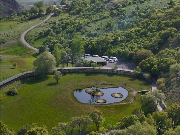 Yüzen adalar doğaseverlerin uğrak rotası oldu