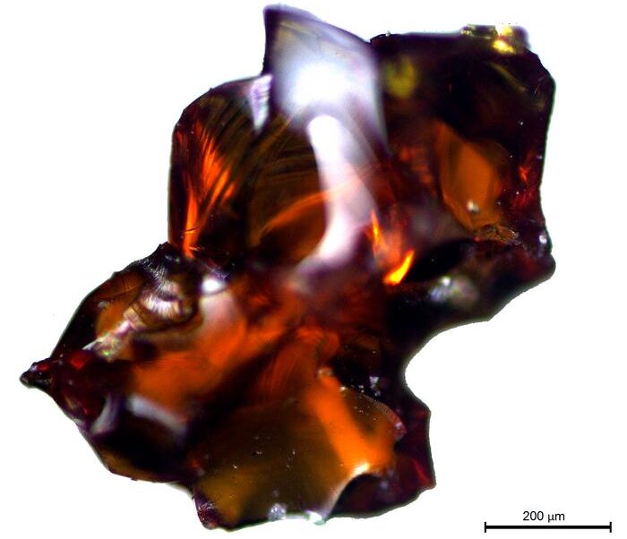 Baltık kehribarının 5.000 yıldan daha uzun bir süre önce kıtanın en batı bölgesine taşındığını ortaya koyuyor