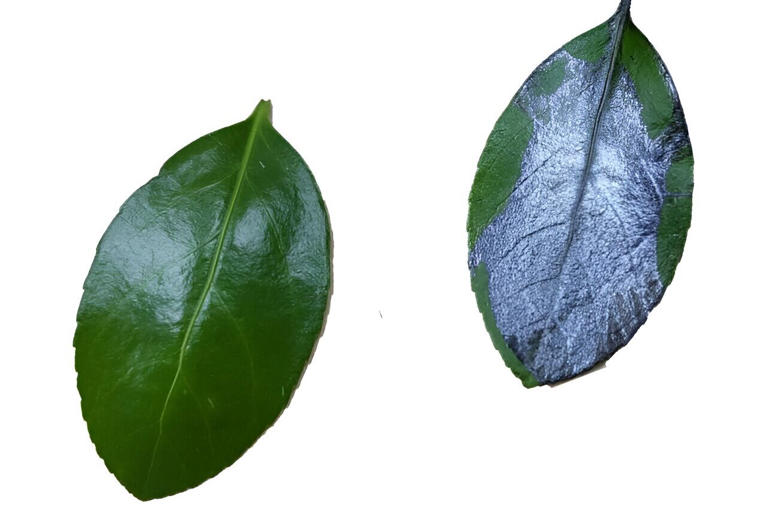 Yüksek performanslı güneş pilleri için düşük enerjili bir süreç, üretim sürecini basitleştirebilir