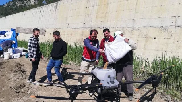 Kastamonu Hanönü’de dron ile çeltik ekimi yapıldı