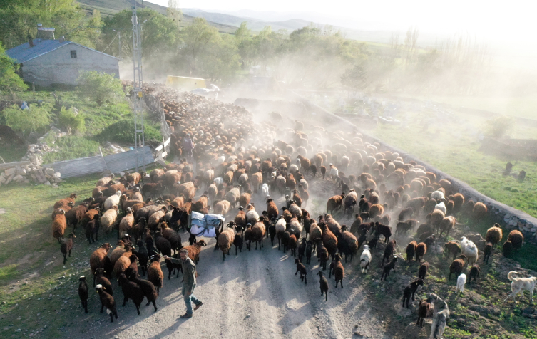 Göçerlerin zorlu yayla yolculuğu başladı