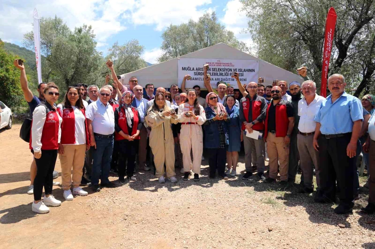 Muğla Arısının Seleksiyon ve Islahının Sürdürülebilirliği Projesi kapsamında 100 adet damızlık ana arı dağıtıldı