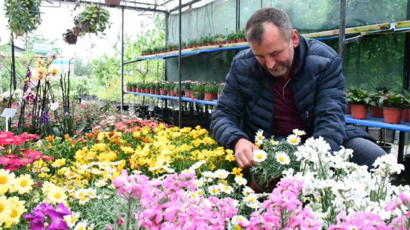 Çocukken çilek fideleriyle başlayan tarım sevgisini seracılıkla üretime dönüştürdü