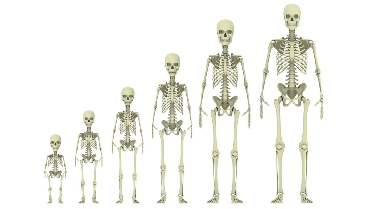 Bebeklerde Neden Yetişkinlere Göre Daha Fazla Kemik Var?