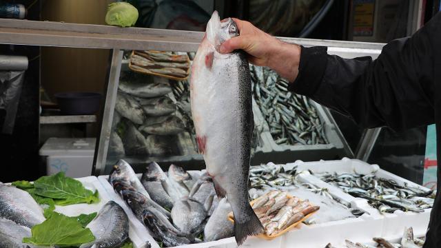 Doğu Karadeniz’in 4 aylık Türk somonu ihracatı yüzde 56 arttı