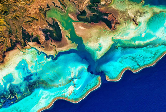 Uydular, Dünya’nın daha önce bilinmeyen devasa mercan resiflerini keşfetti