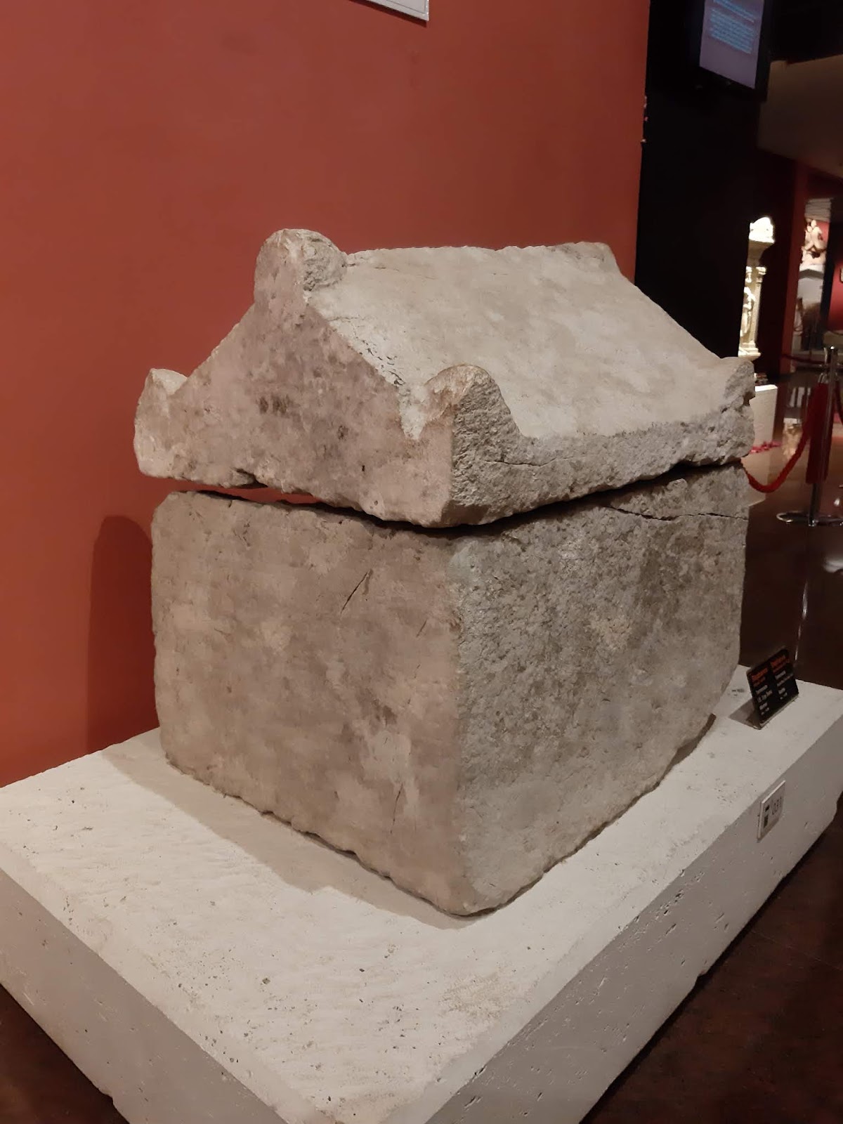 Termessos Antik Kenti’nde 2500 Yıllık Hayvan Sevgisi