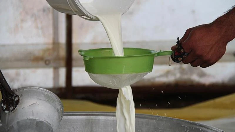Türkiye’de 2023’te 21,5 milyon ton çiğ süt üretildi
