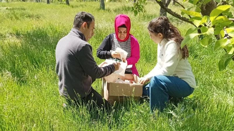 Niğde’de meyve ağaçları zararlılardan tuzakla korunuyor