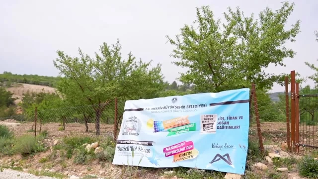 Mersin Büyükşehir Belediyesi, Organik Tarım Projesi ile Üreticilere Destek Oluyor