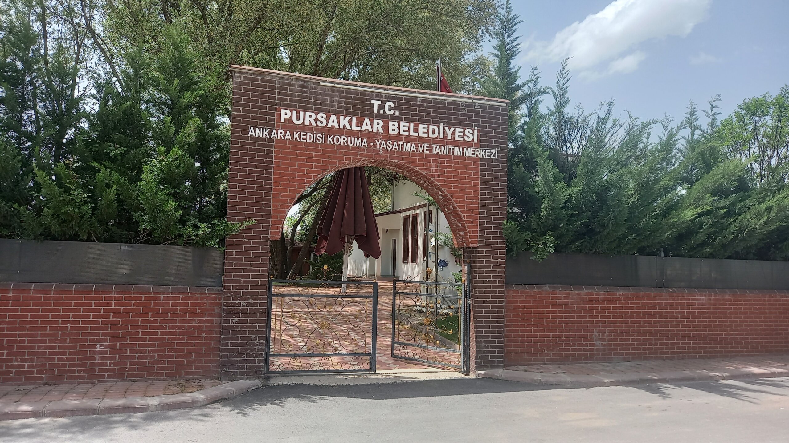 Ankara Kedisini Koruma, Yaşatma Ve Tanıtma Merkezi