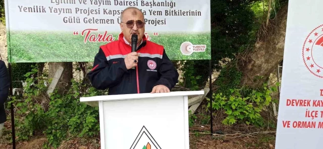 Devrek İlçesinde Çiftçilere Yönelik Tarla Günü Etkinliği Düzenlendi