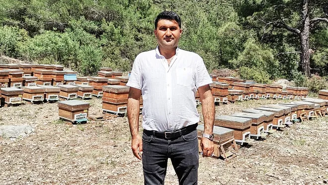 Mersin balına coğrafi işaret alma çalışmaları devam ediyor