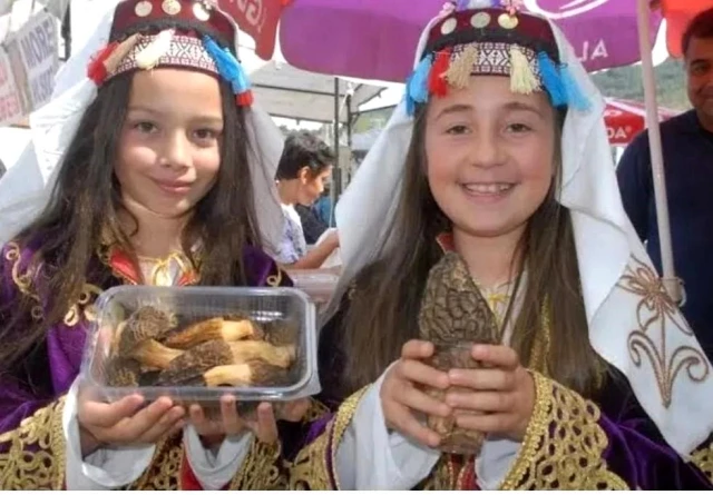 Muğla’nın Fethiye ilçesinde toplanan kuzugöbeği mantarı Avrupa’ya ihraç ediliyor