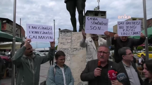 Rize’de çay üreticileri yaş çay fiyatına tepki gösterdi